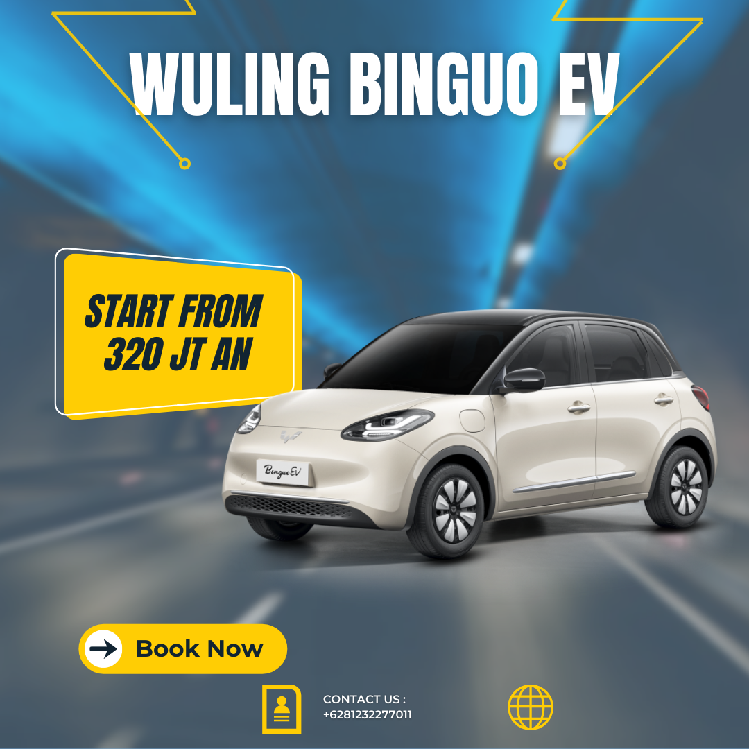 Wuling Binguo EV